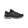 Lowa Ferrox 4daagse GTX Lo Ws