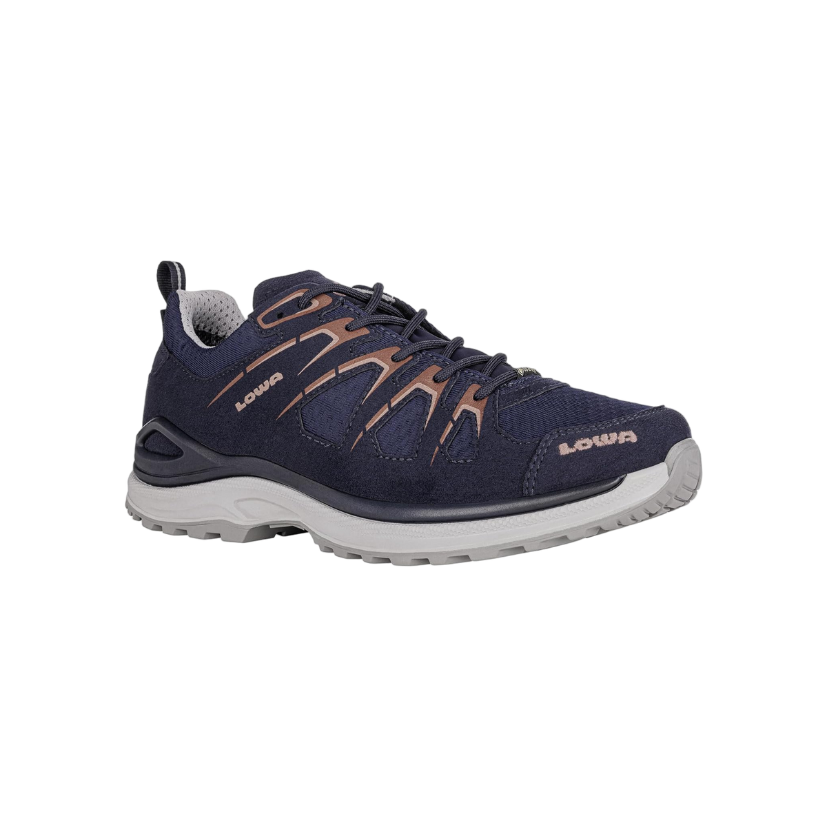 Lowa Innox Evo GTX Lo Ws