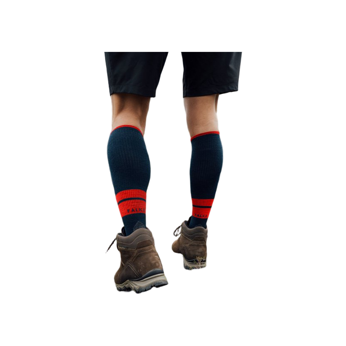 FALKE TK Compression Energy M