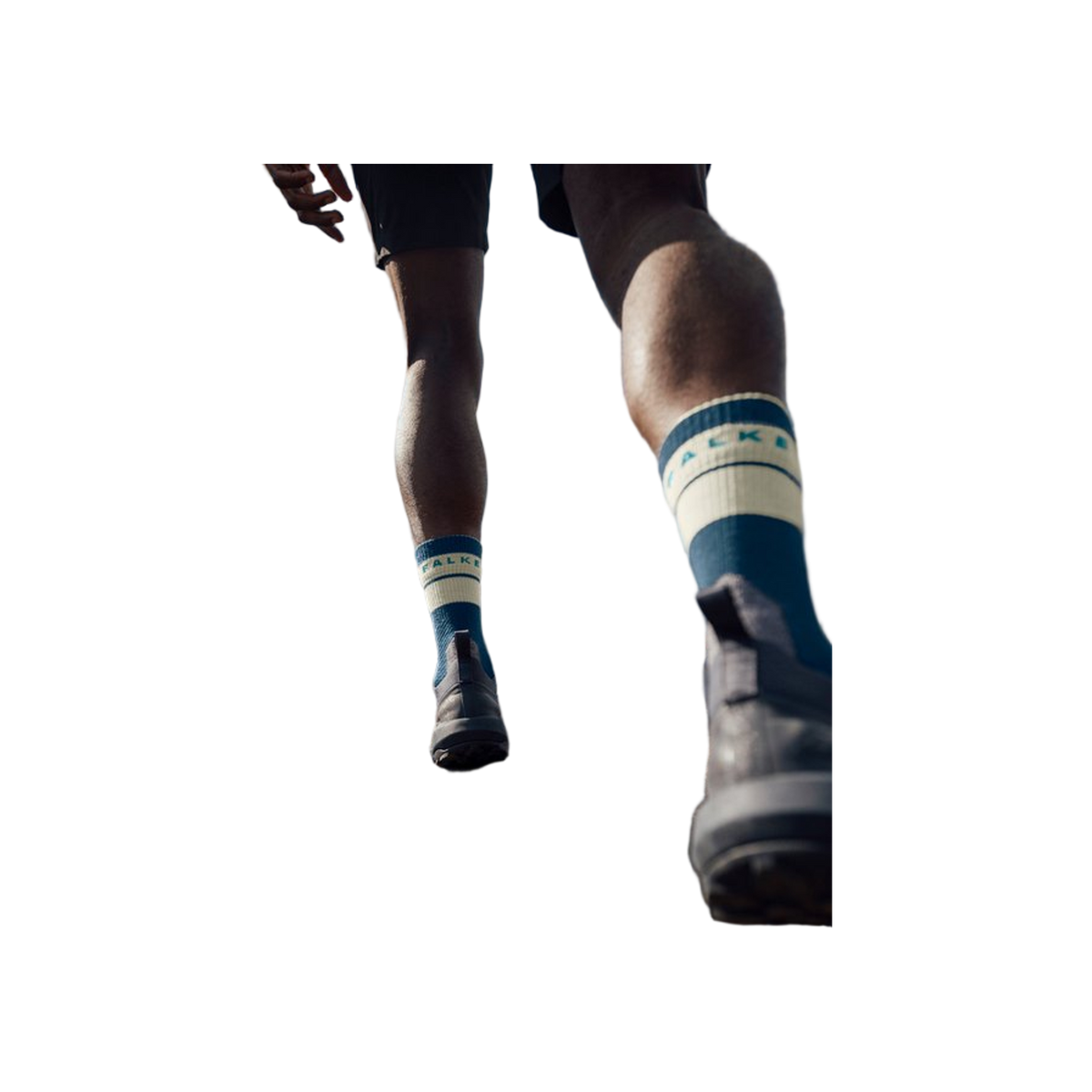 FALKE TK Compression Stabilizing M