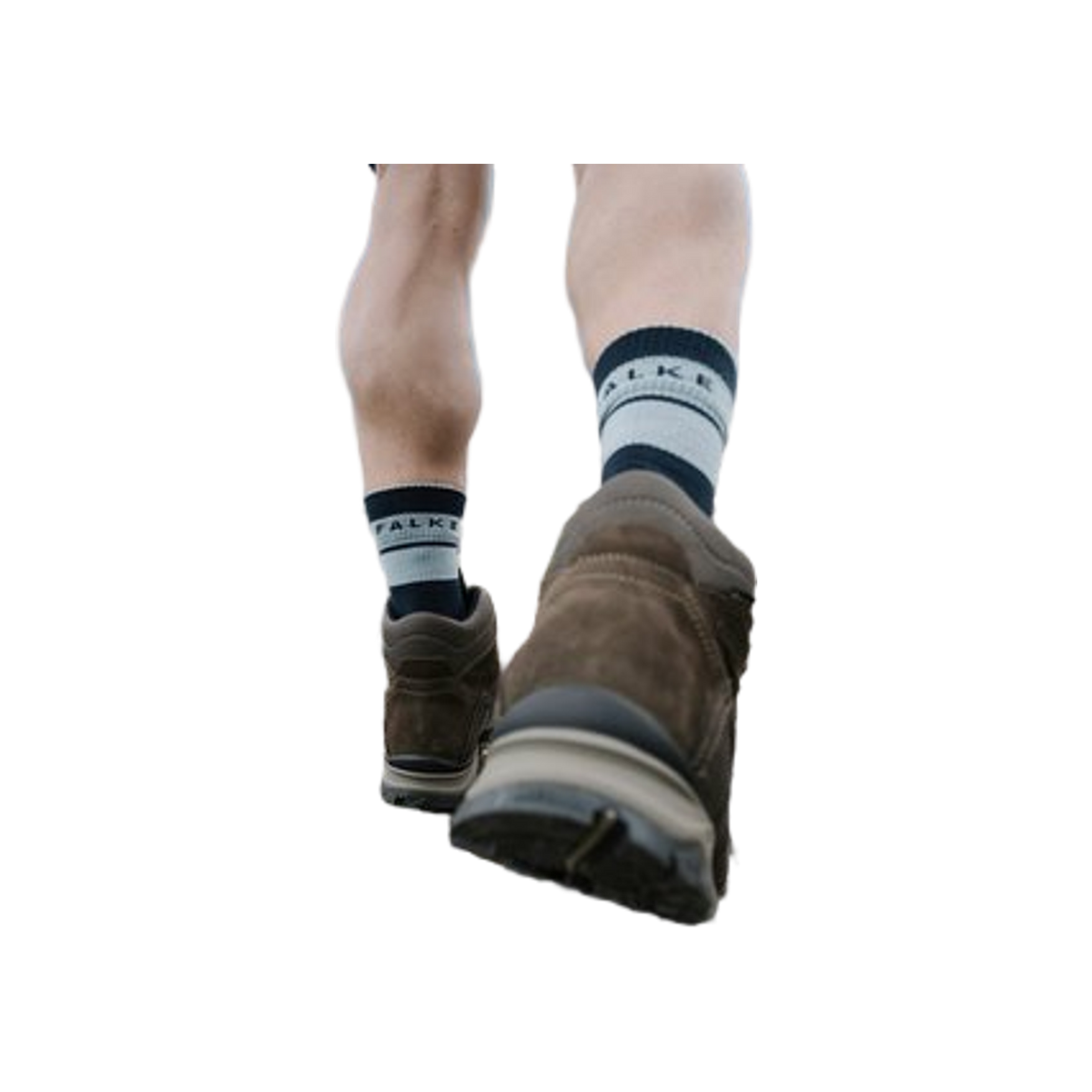 FALKE TK Compression Stabilizing M