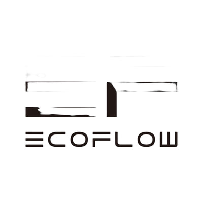 EcoFlow 100W Solar Panel