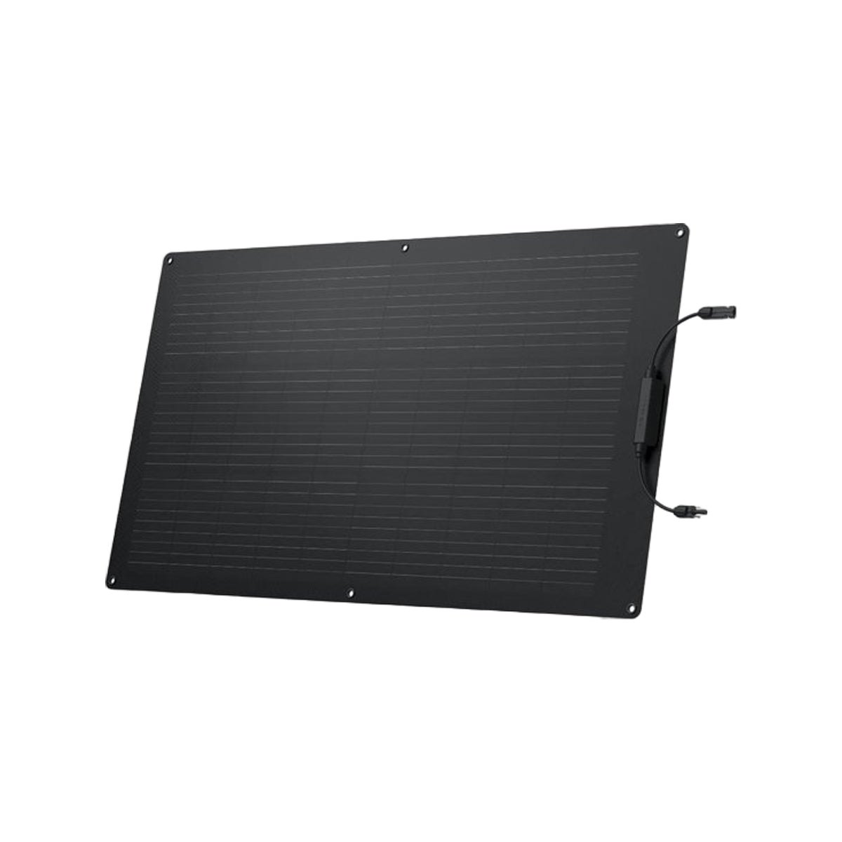 EcoFlow 100W Solar Panel