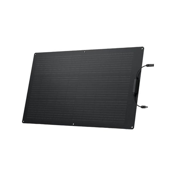 EcoFlow 100W Solar Panel