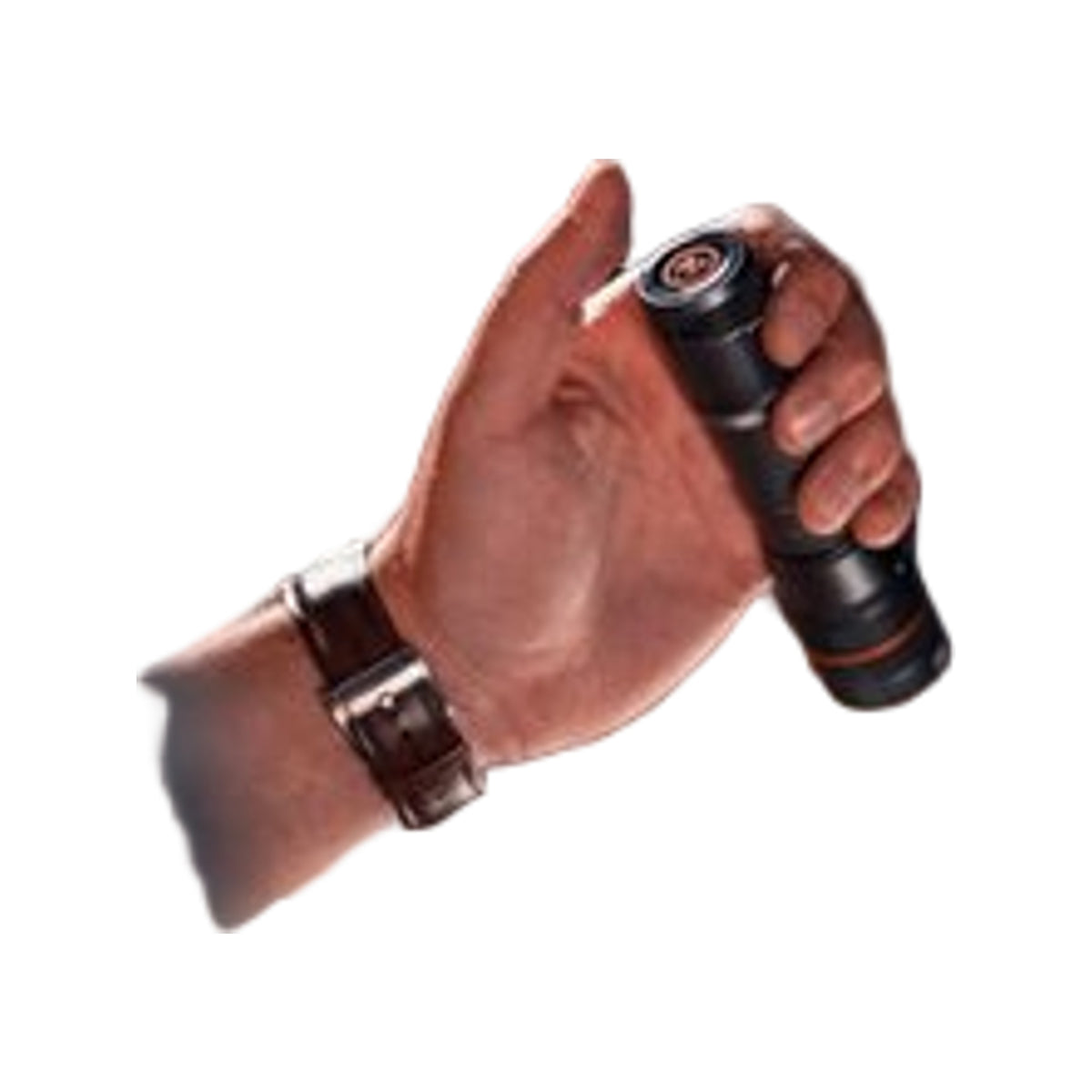 Nebo Newton 500