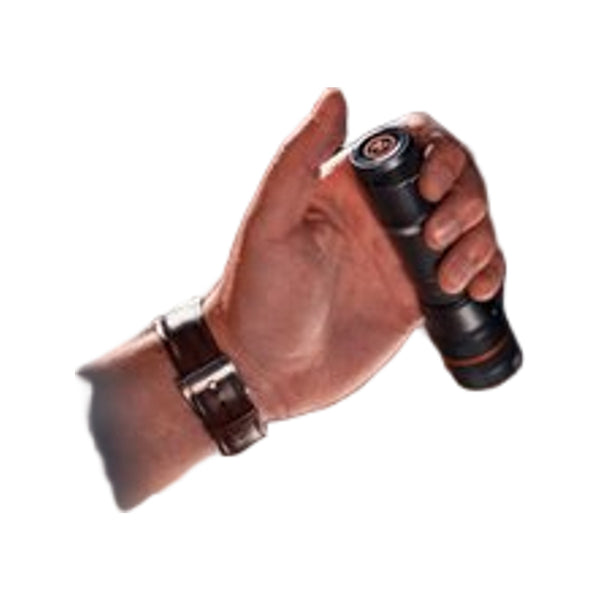 Nebo Newton 500