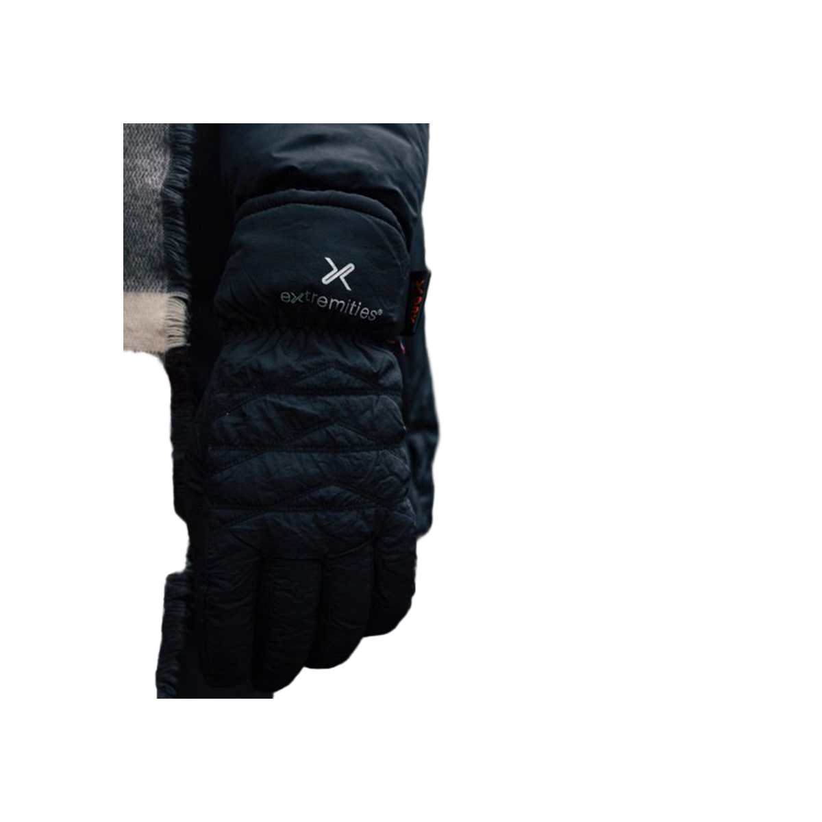 Extremities Paradox Wp Glove
