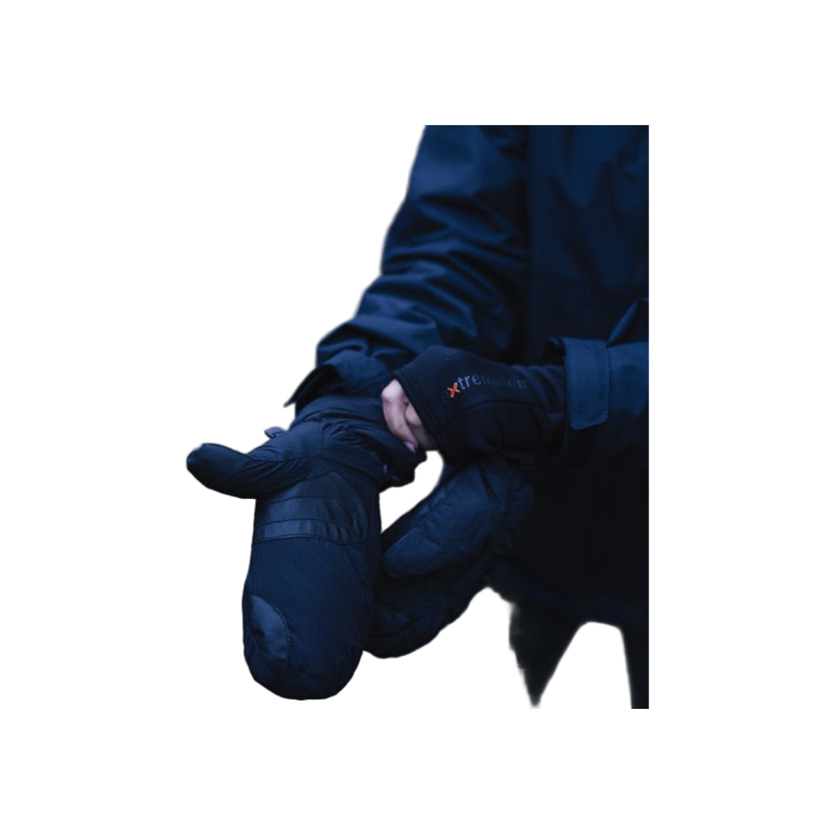 Extremities Paradox Wp Mitt