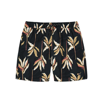 Barts Fervis Shorts — Dark Grey