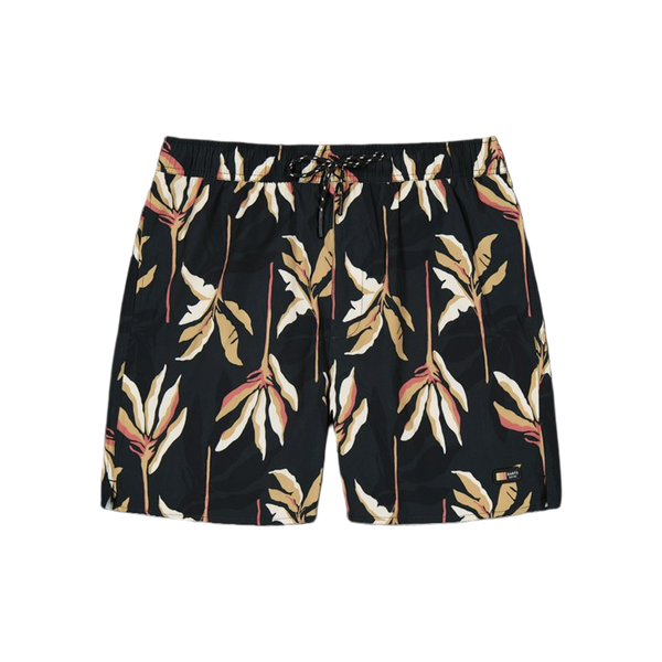 Barts Fervis Shorts — Dark Grey