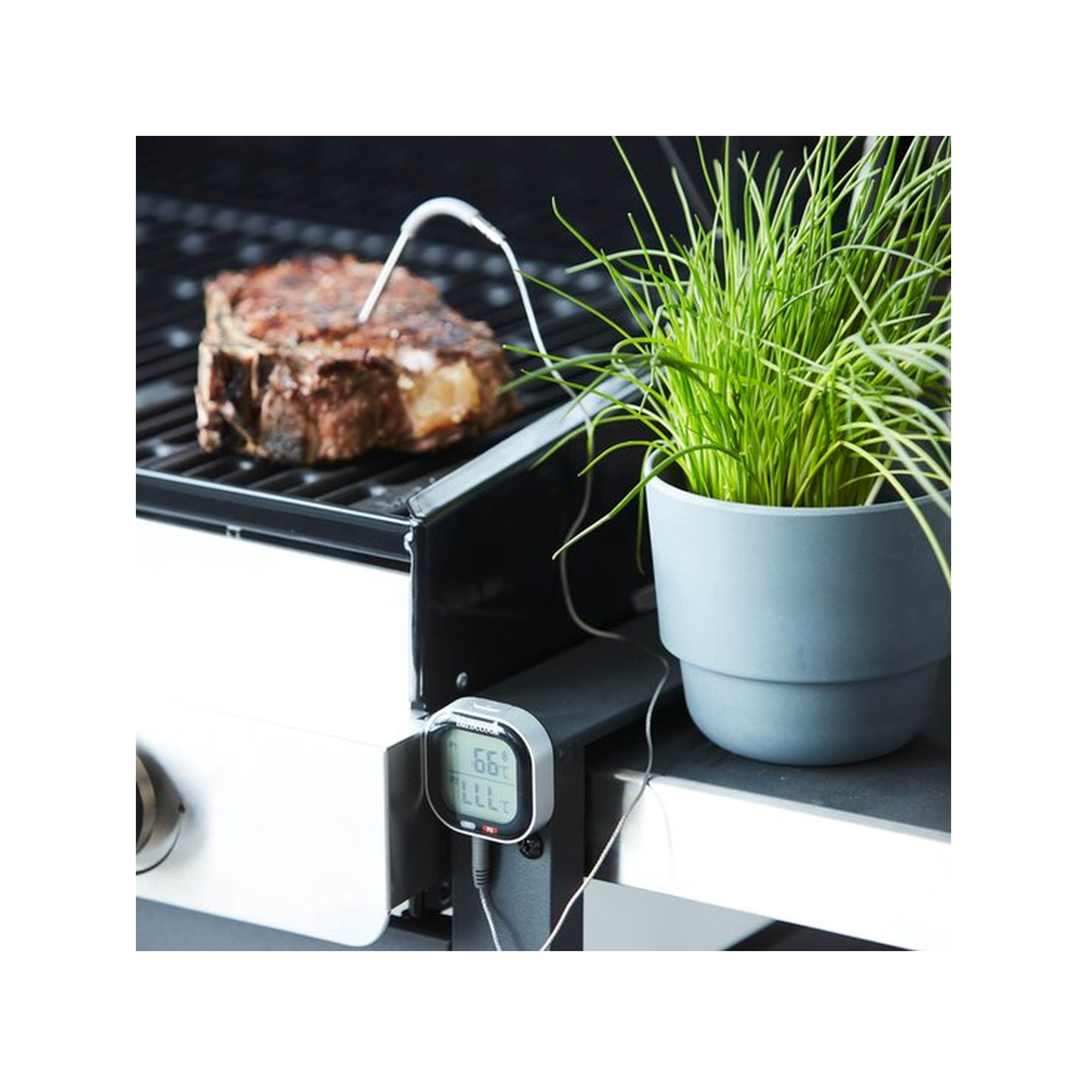 Barbecook digitale thermometer met app
