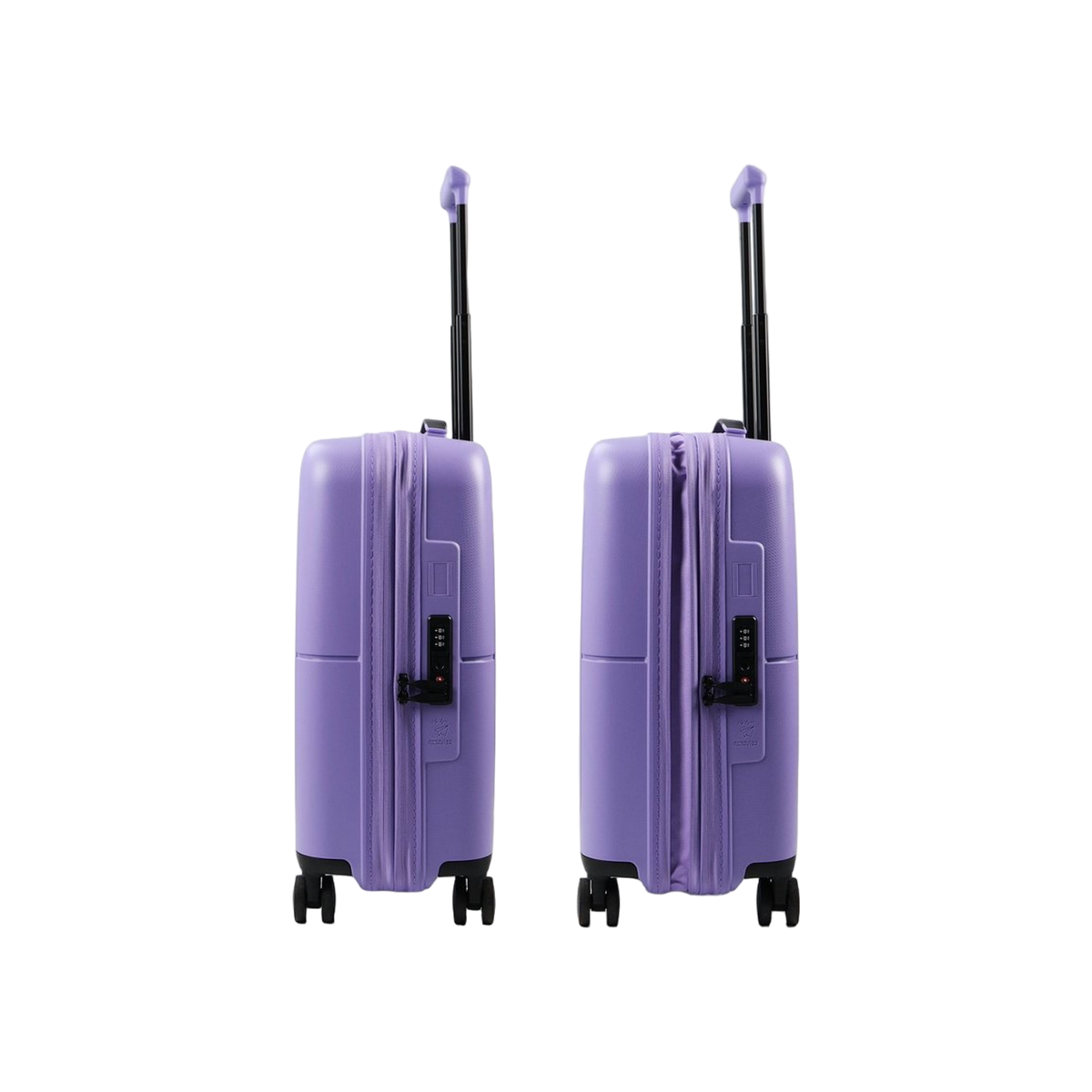 DASHPOP SPINNER 55/20