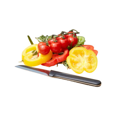 Barbecook FSC bamboe snijplank 40x30x1.5cm