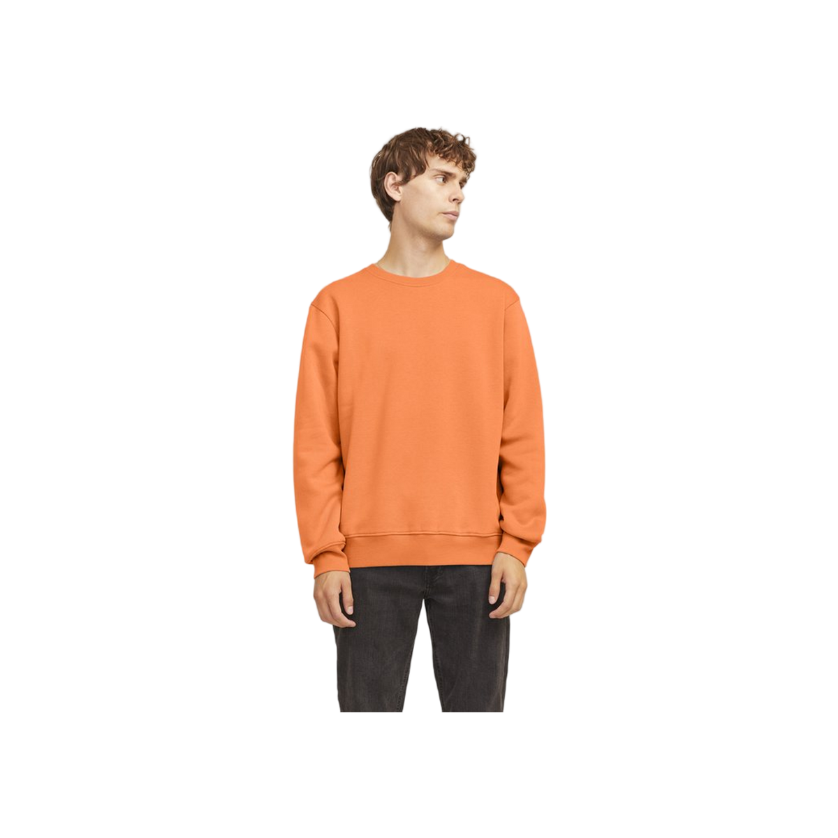 Jrebrocky Sweat Crew Neck
