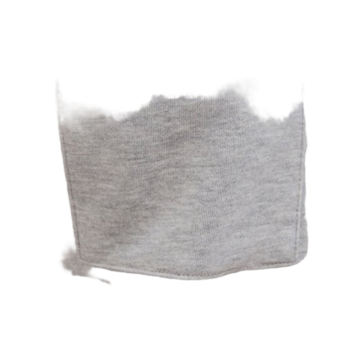 JJ Rebel Jrebgorm Reg Rebel Logo Sweat Shorts Sn
