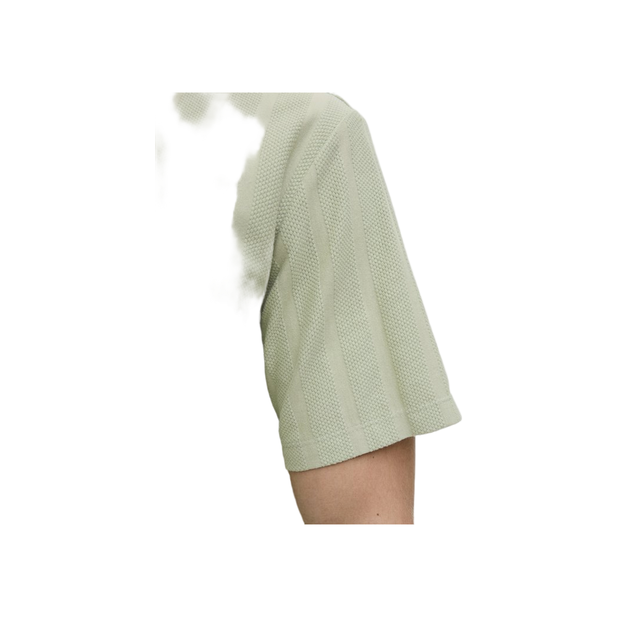 JJ Rebel Jreblouis Tee Ss Crew Neck