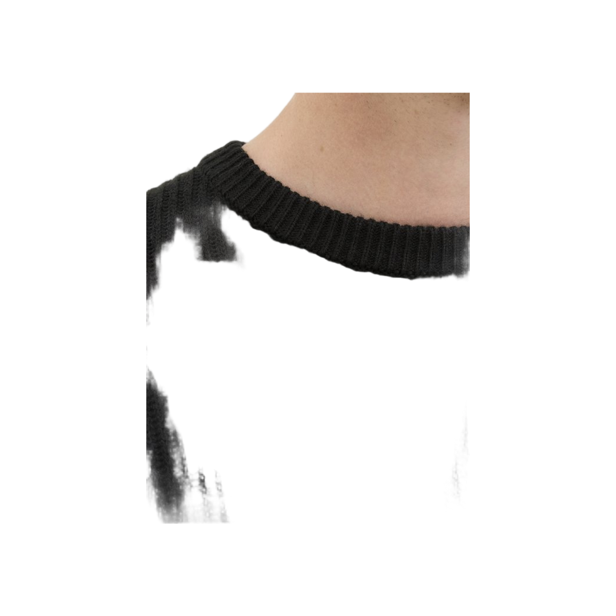 Jreblogan Knit Crew Neck