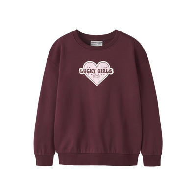 Name-it Nkfviloui Ls Rlx Sweat Bru