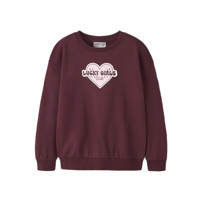 Name-it Nkfviloui Ls Rlx Sweat Bru