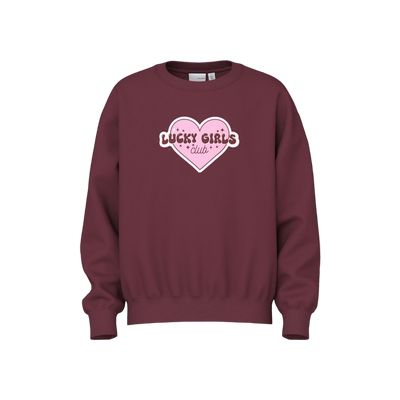 Name-it Nkfviloui Ls Rlx Sweat Bru