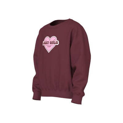 Name-it Nkfviloui Ls Rlx Sweat Bru