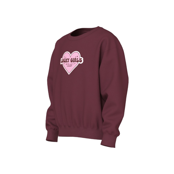 Name-it Nkfviloui Ls Rlx Sweat Bru