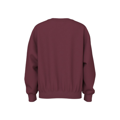 Name-it Nkfviloui Ls Rlx Sweat Bru