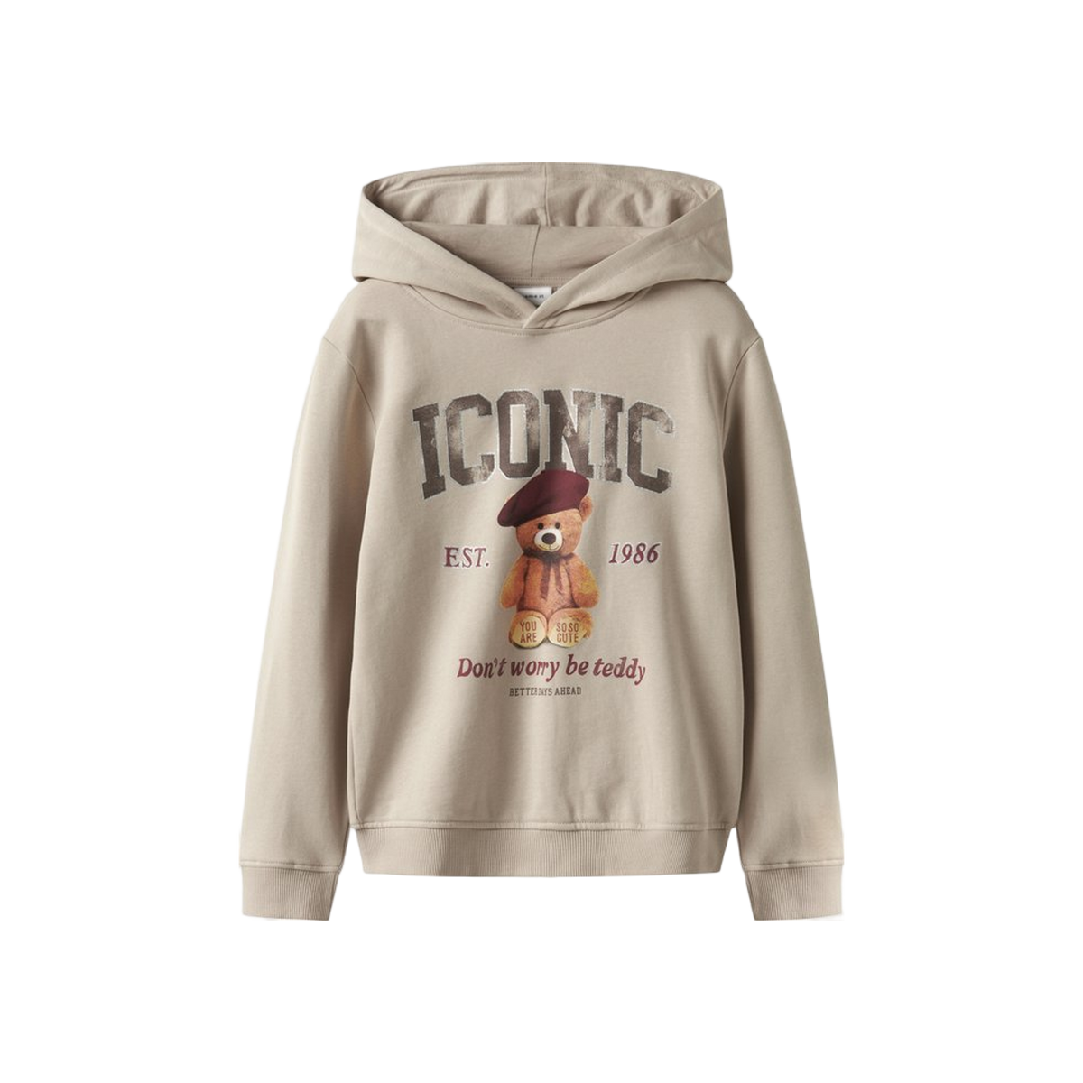 Name-it Nkfrycca Ls Nreg Sweat Wh Bru Box