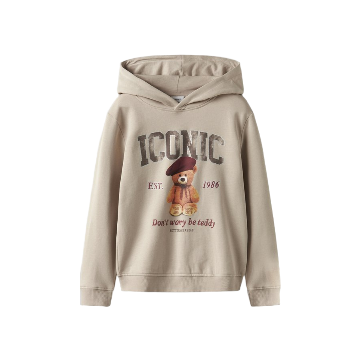 Name-it Nkfrycca Ls Nreg Sweat Wh Bru Box