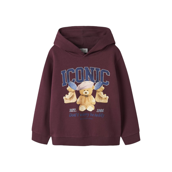 Name-it Nkfrycca Ls Nreg Sweat Wh Bru Box