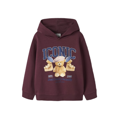 Name-it Nkfrycca Ls Nreg Sweat Wh Bru Box