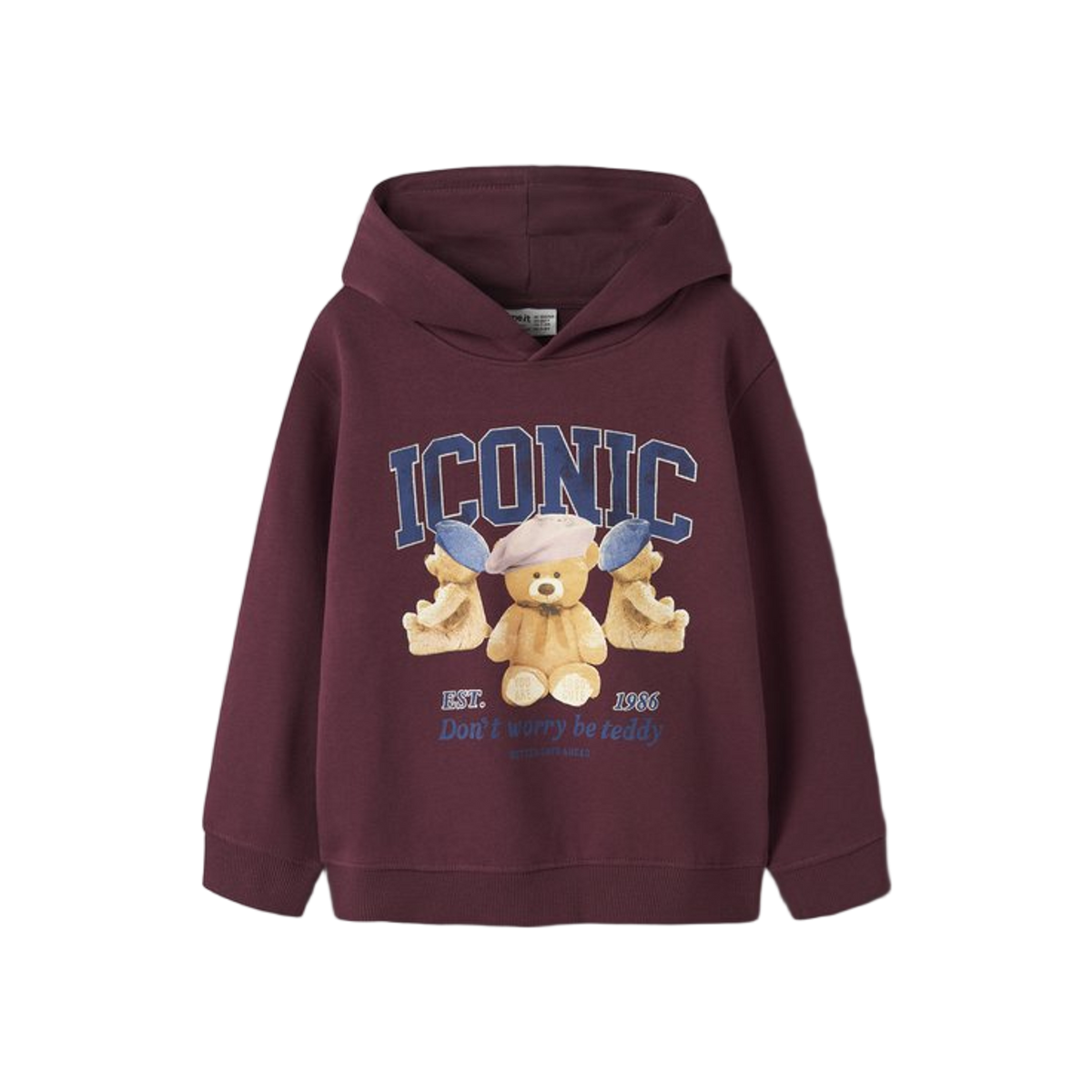 Name-it Nkfrycca Ls Nreg Sweat Wh Bru Box