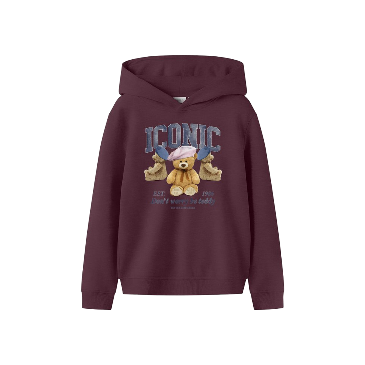 Name-it Nkfrycca Ls Nreg Sweat Wh Bru Box