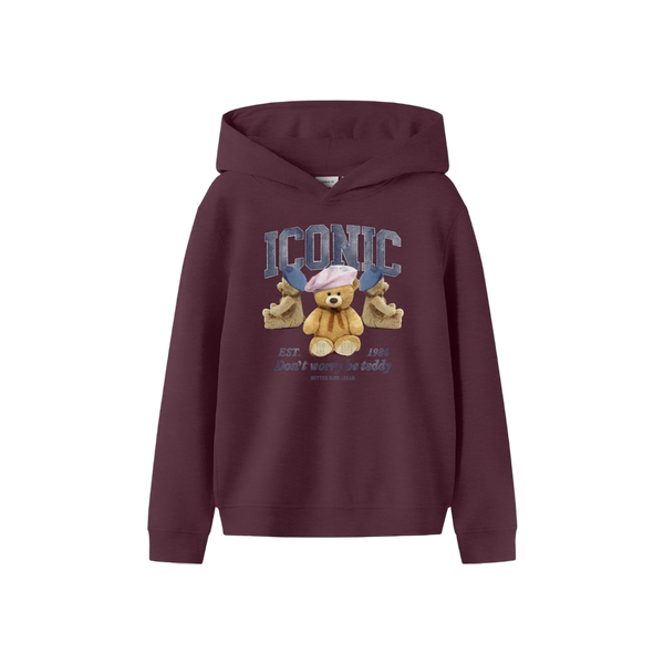 Name-it Nkfrycca Ls Nreg Sweat Wh Bru Box
