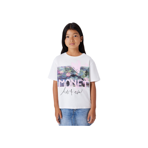 Name-it NKFDYDISSI Monet SS Nreg Top
