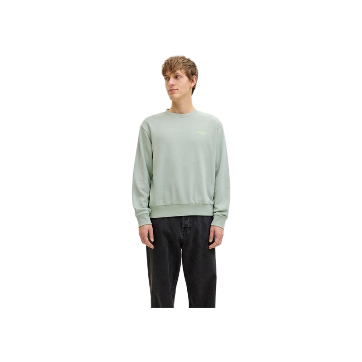 JJ Rebel Jrebhayden Crew Neck Sweat Sn