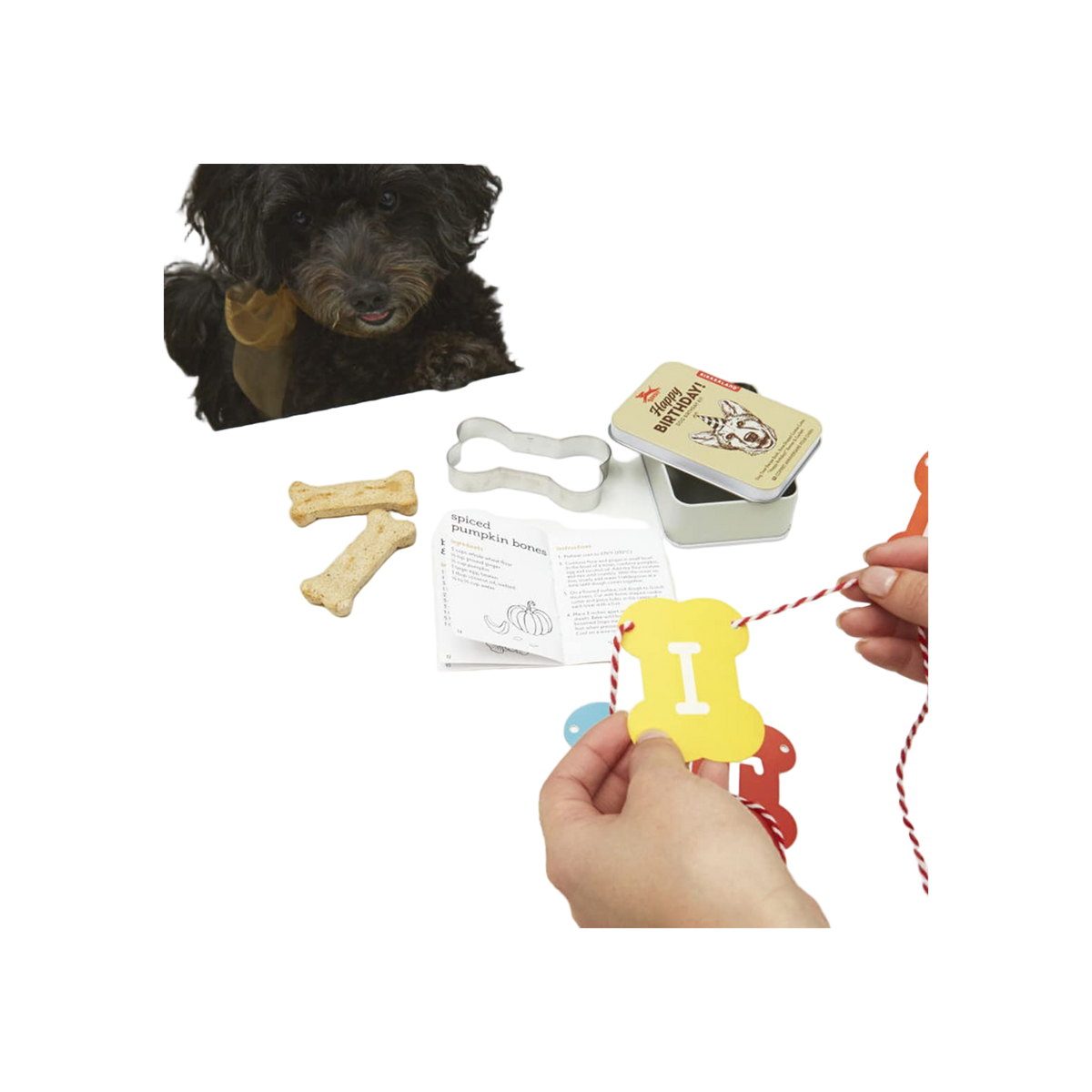 Kikkerland Dog Birthday Kit