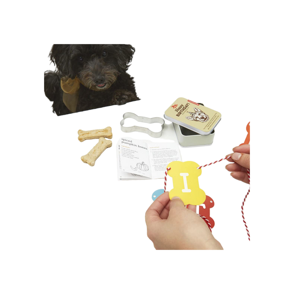 Kikkerland Dog Birthday Kit