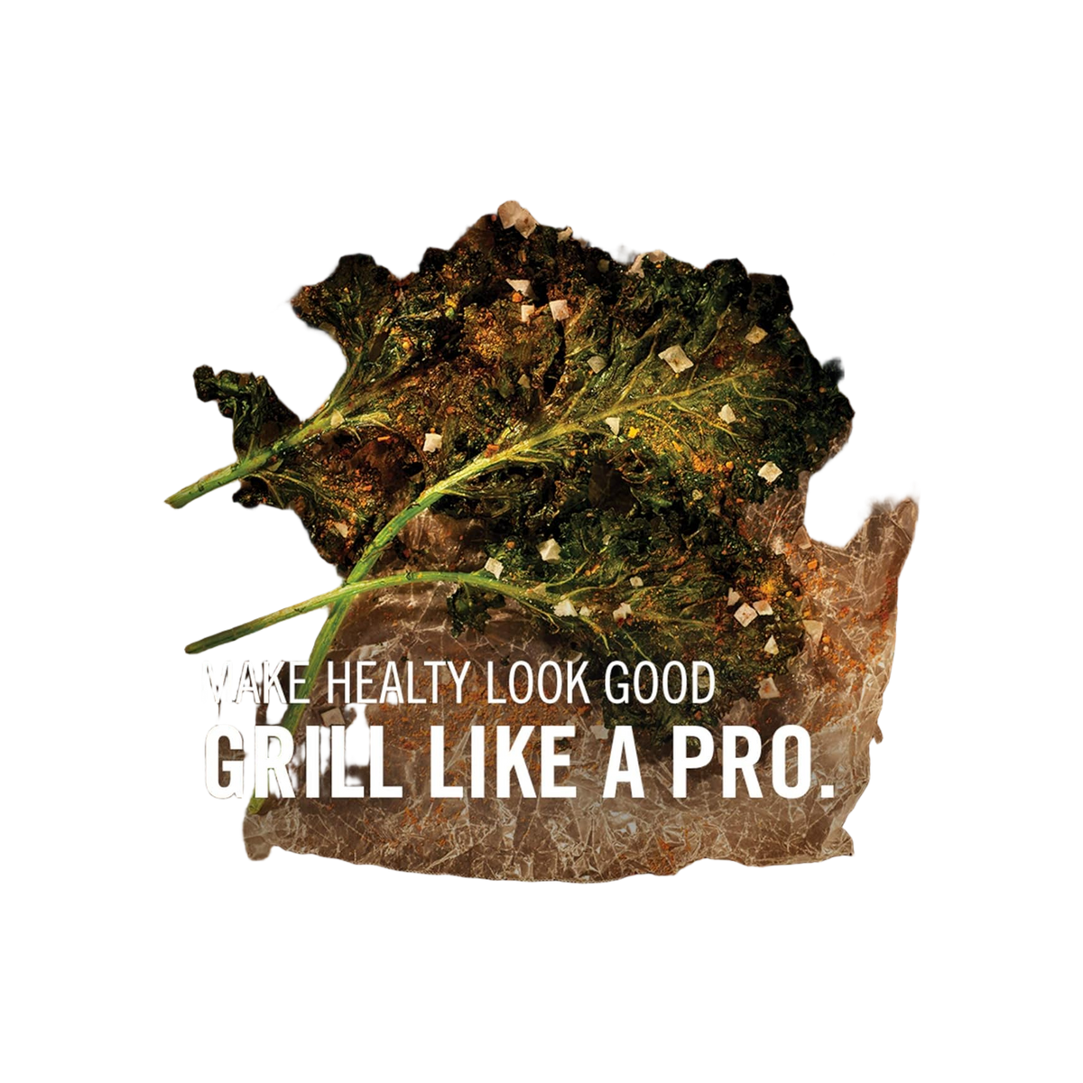 Napoleon Grillplaat voor TravelQ PRO285