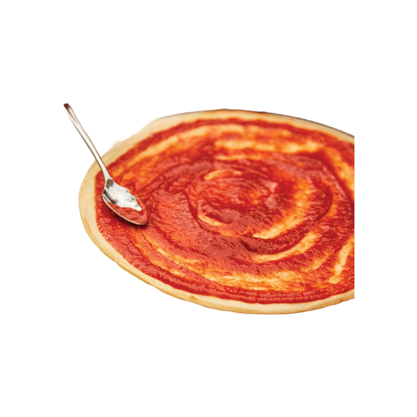 Napoleon Pizza stenen voor TravelQ Ø 25 cm (2 stuks)