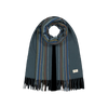 Barts Kersie Scarf — Dark Celadon