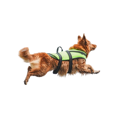 PROZONE LIFEVEST