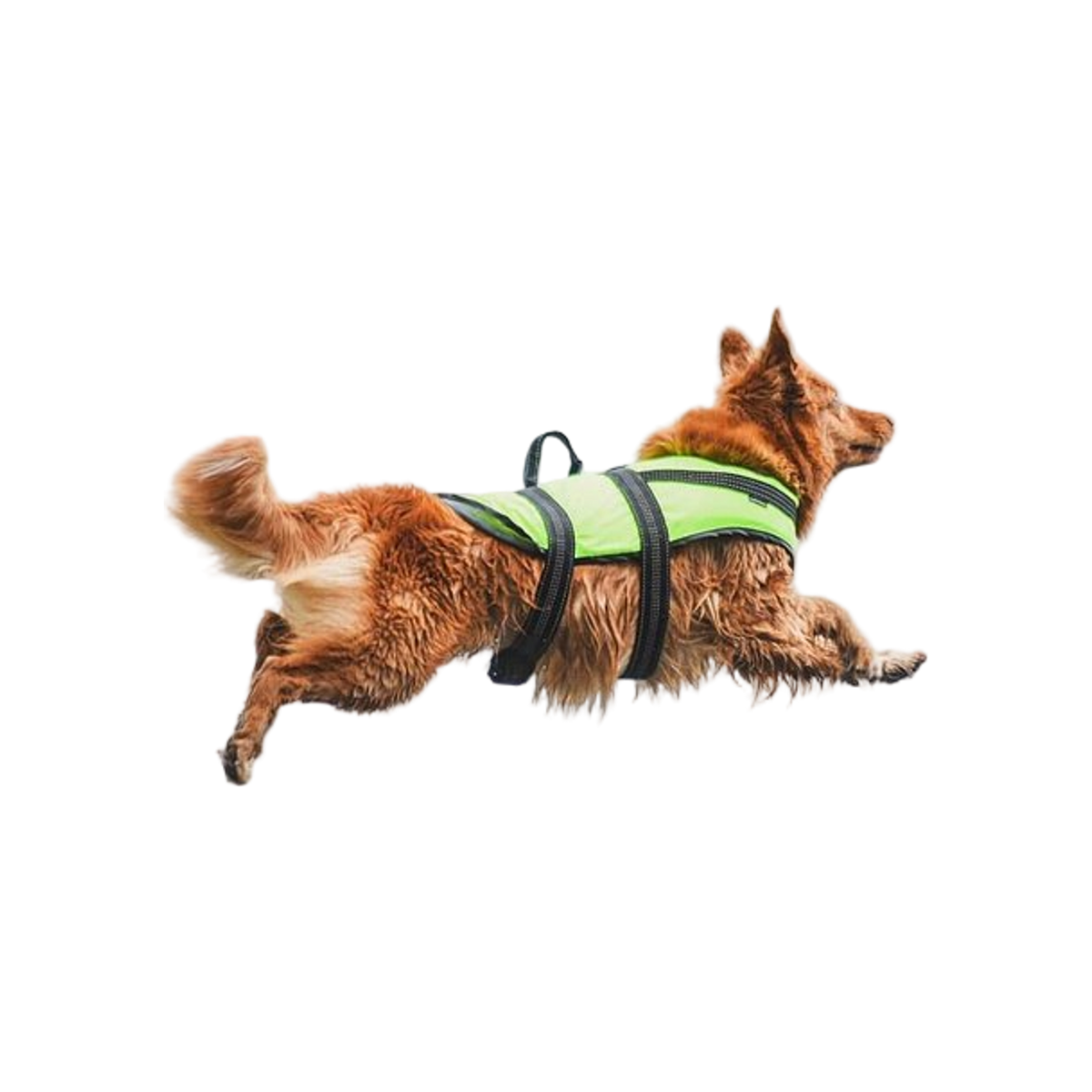 PROZONE LIFEVEST