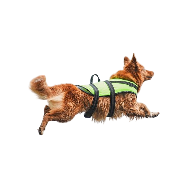 PROZONE LIFEVEST