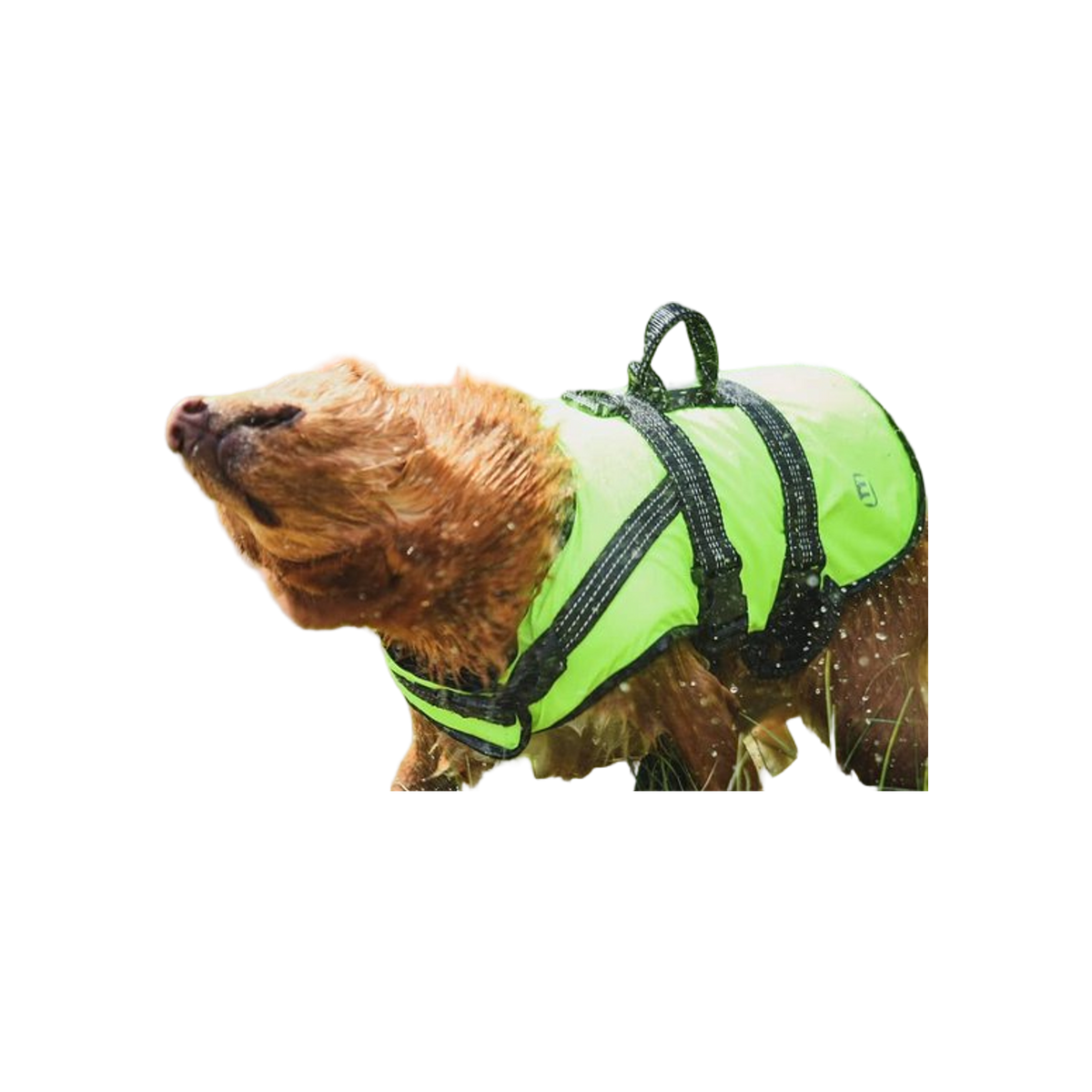 PROZONE LIFEVEST