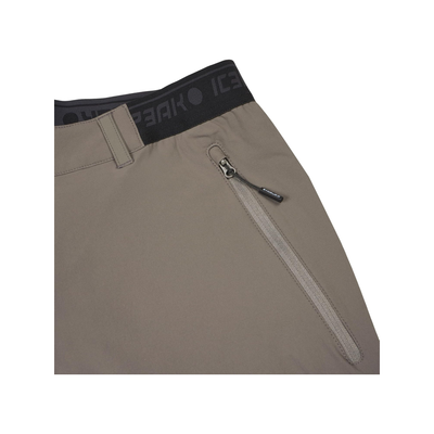 Icepeak Braham