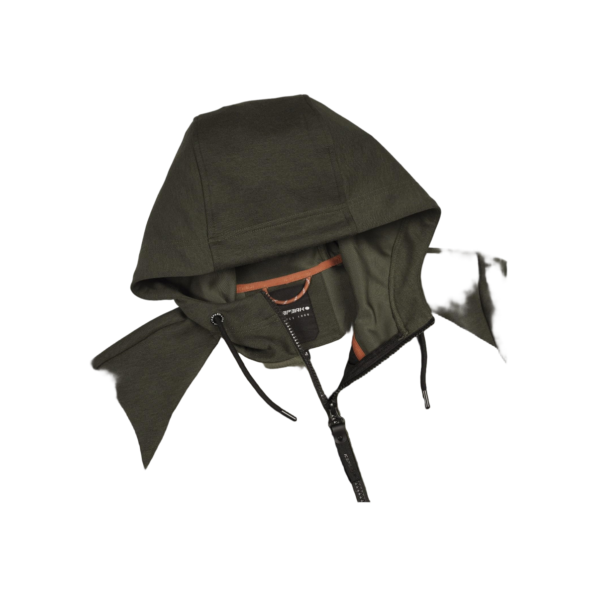 Icepeak Arzberg