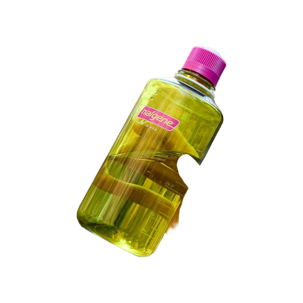 Nalgene Narrow-Mouth 1000ml Pastel Green Sustain
