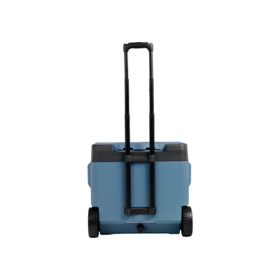 Igloo Thermo-electrische Koelbox IE42L