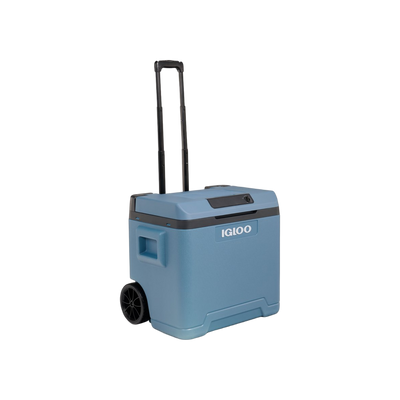 Igloo Thermo-electrische Koelbox IE42L